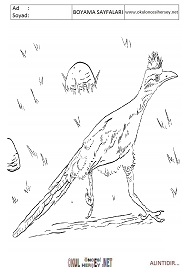 roadrunner boyama sayfaları